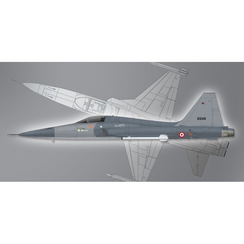 Northrop F-5A Freedom Fighter 1:72